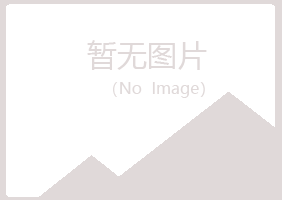 上海字迹冶炼有限公司